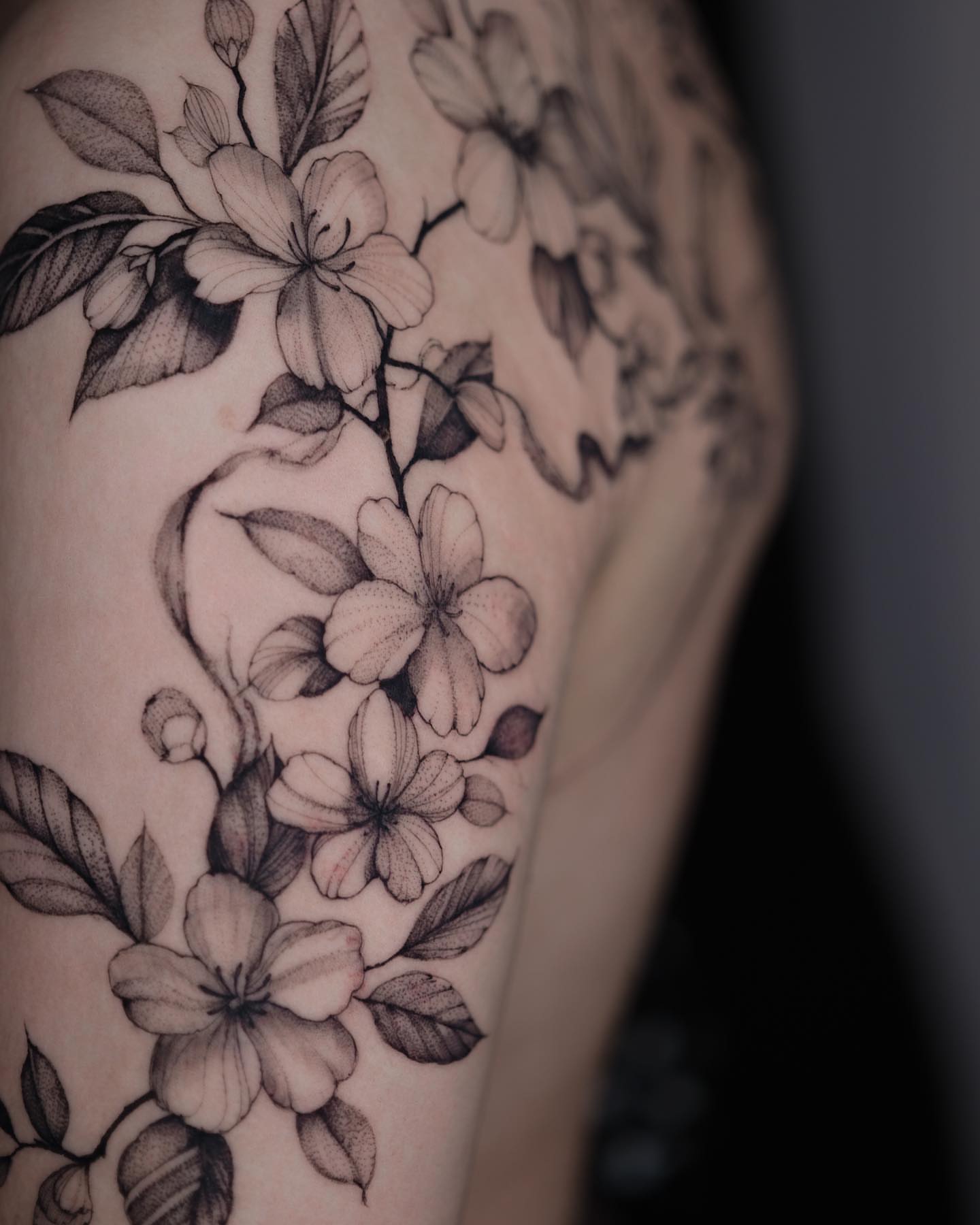 Cherry blossoms black and grey tattoo on the shoulder by Tattoo artist in Boston