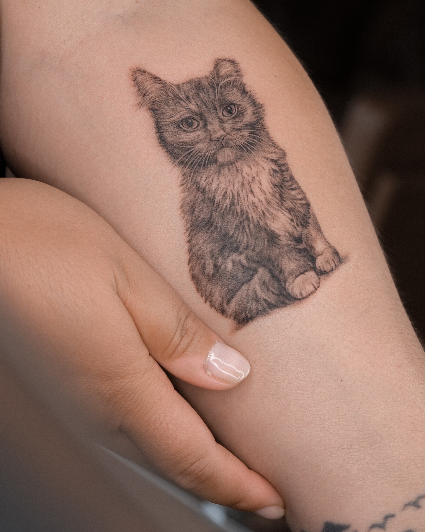 Tattoo by @bodybureau — realism