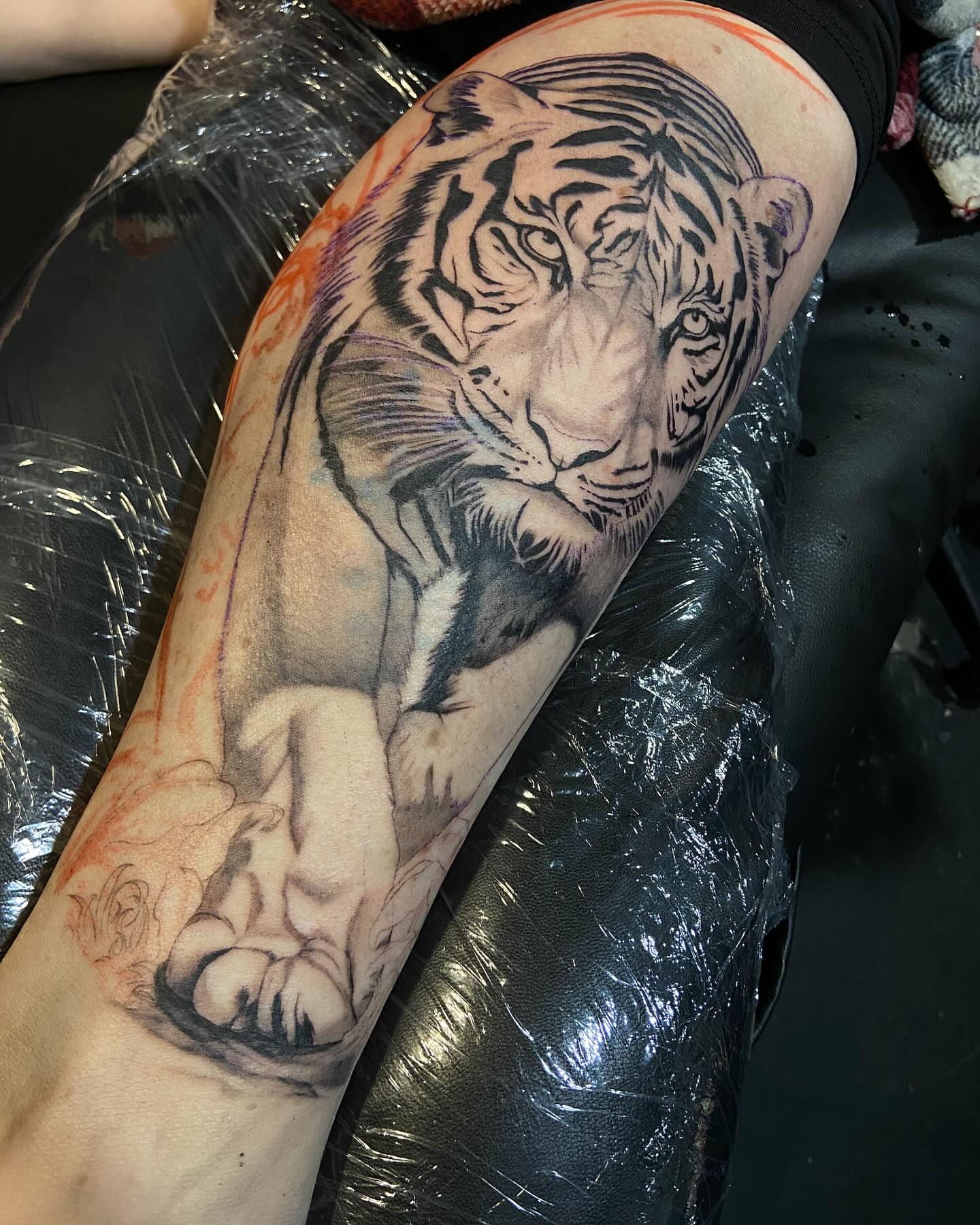 Tiger realism tattoo on the forearm by Slade Nowicki