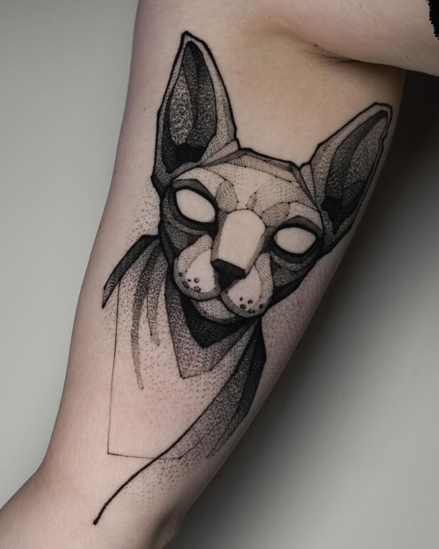 Cat dotwork tattoo on the forearm by Max LaCroix