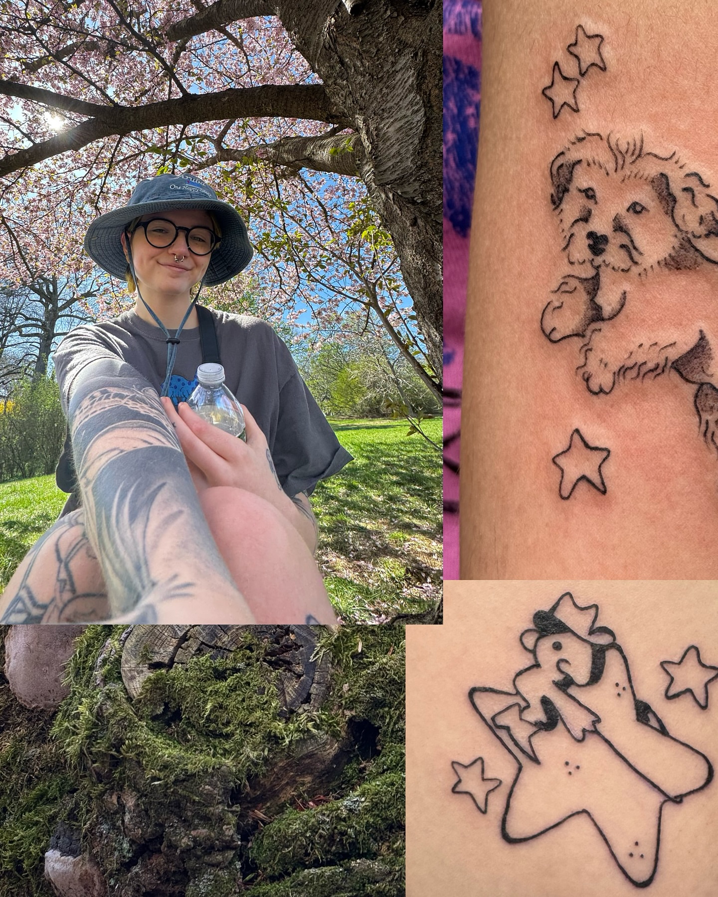 Dog and stars black and grey tattoo on the forearm by Milo