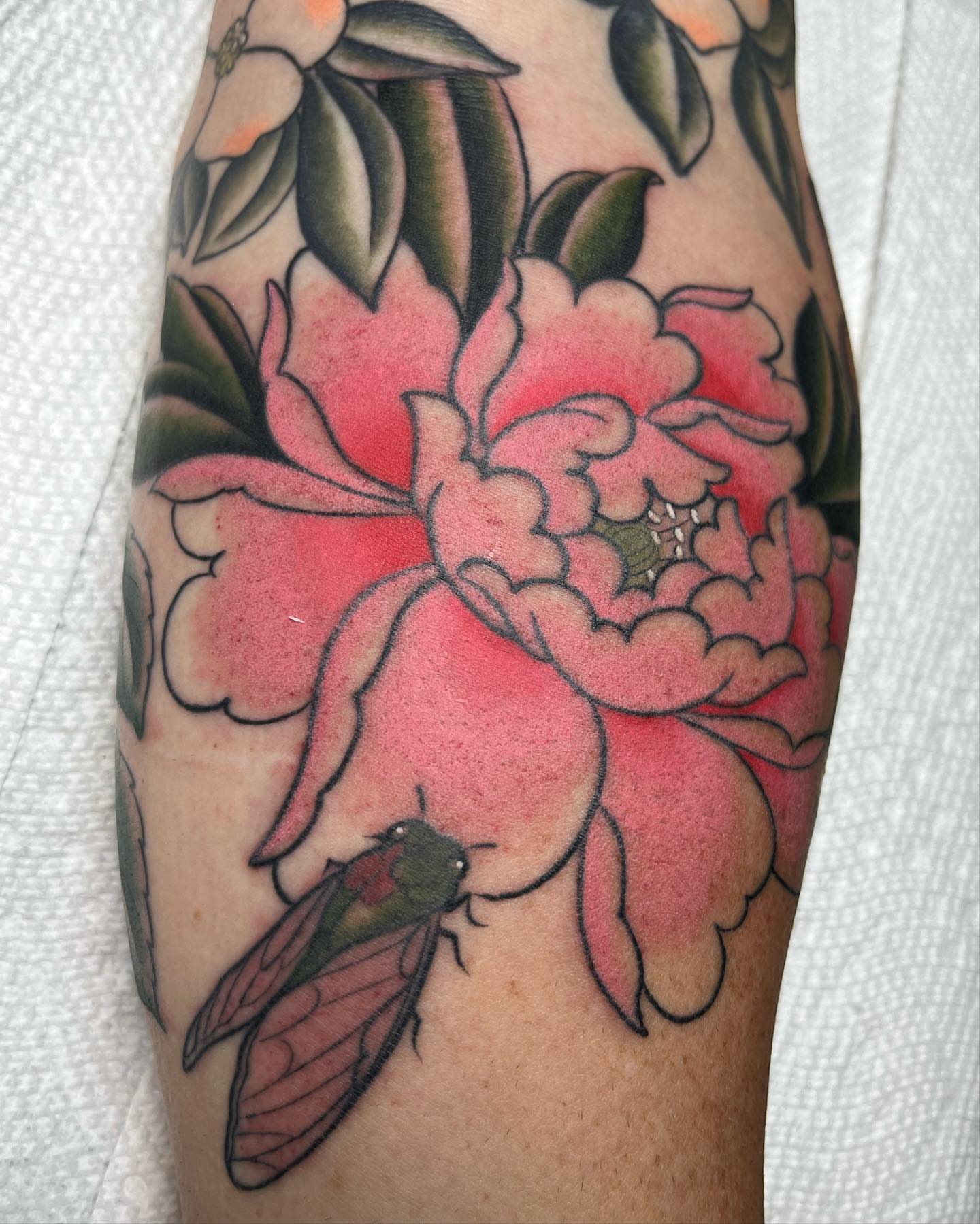 Peony and cicada American traditional tattoo on the forearm by Kayla Faircloth, Charlotte, North Carolina
