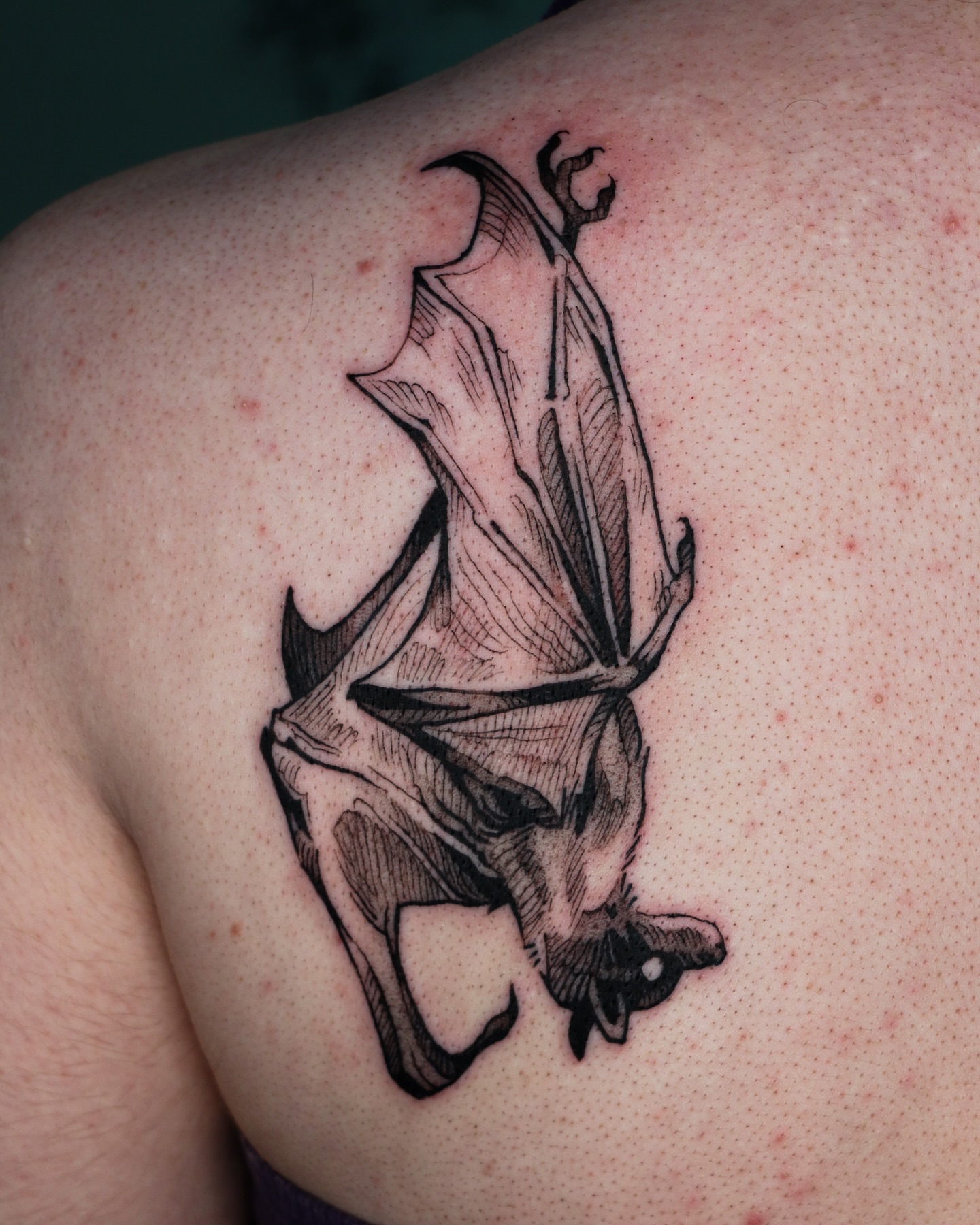 Tattoo by @baldpeaches — black_and_grey