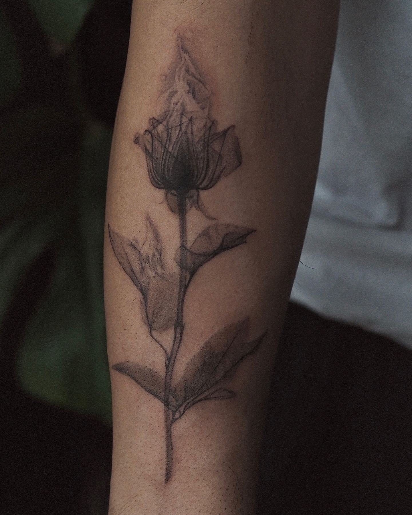 Rose black and grey tattoo on the forearm by Anastasiia Pakhanova ♥ tattoo artist