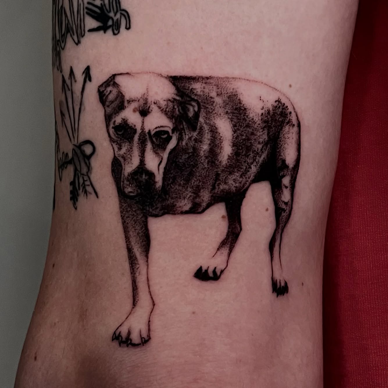 Dog dotwork tattoo on the forearm by ˖.𖥔 ݁˖anna hoffman˖ ⊹ ࣪ ˖, Salt Lake City, Utah