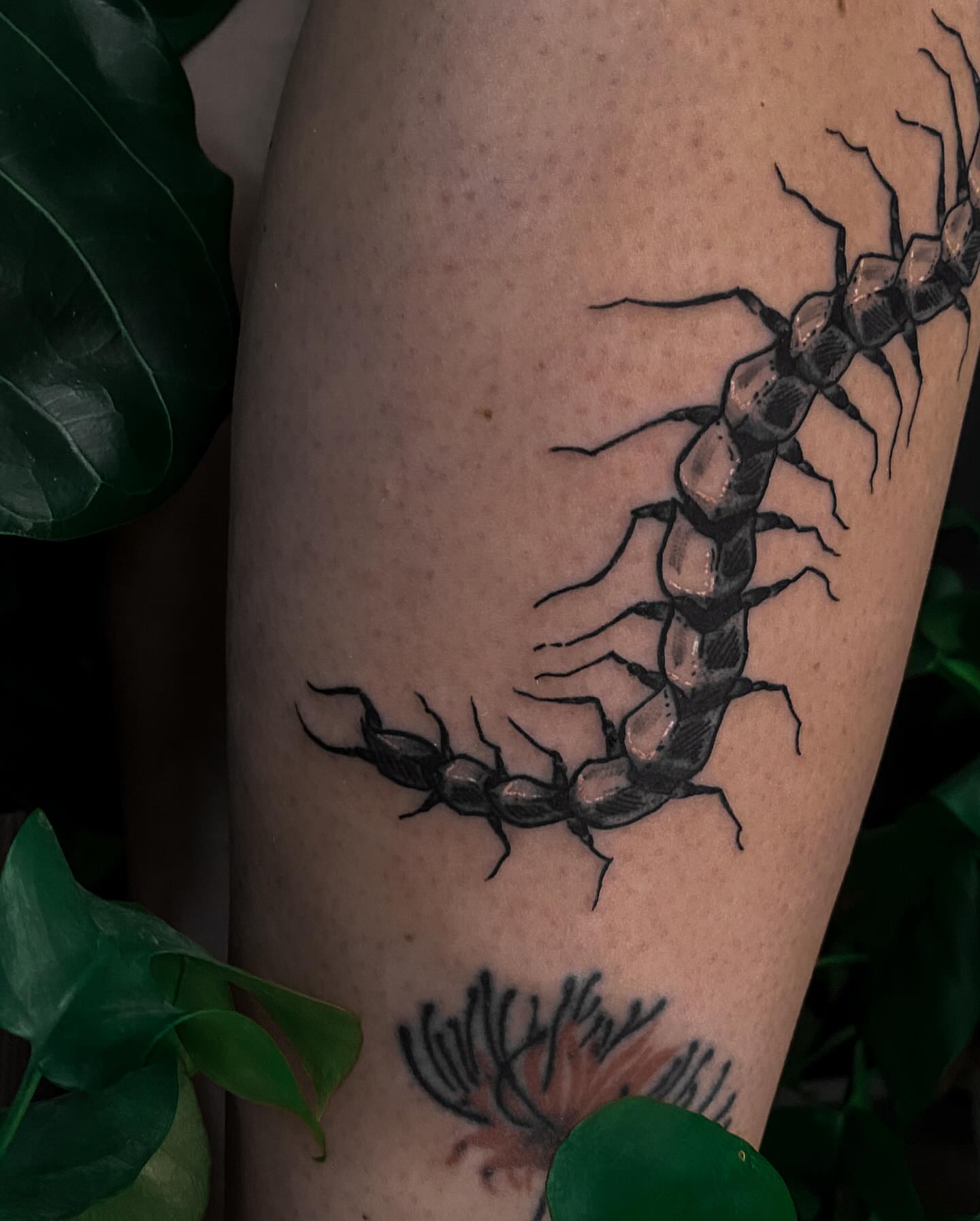 Centipede black and grey tattoo on the forearm by ✥ G i t t a ✥