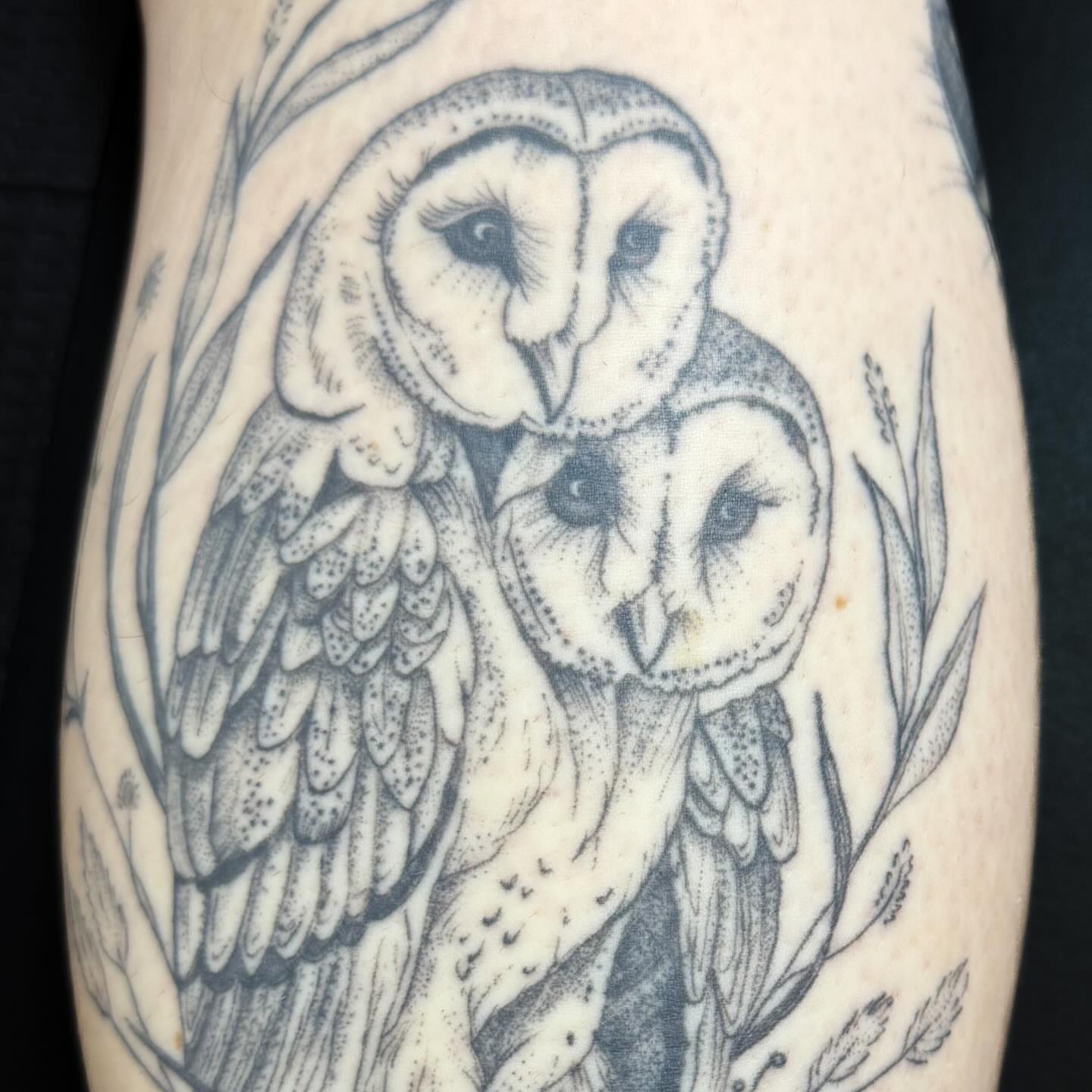 Owls dotwork tattoo on the forearm by Christen Wolfe CA Tattooer