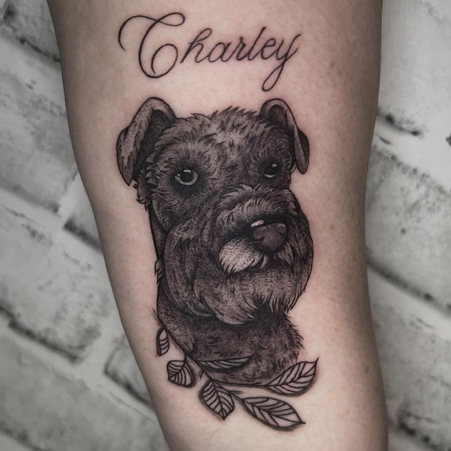 Dog portrait realism tattoo on the forearm by Ashley Lambert