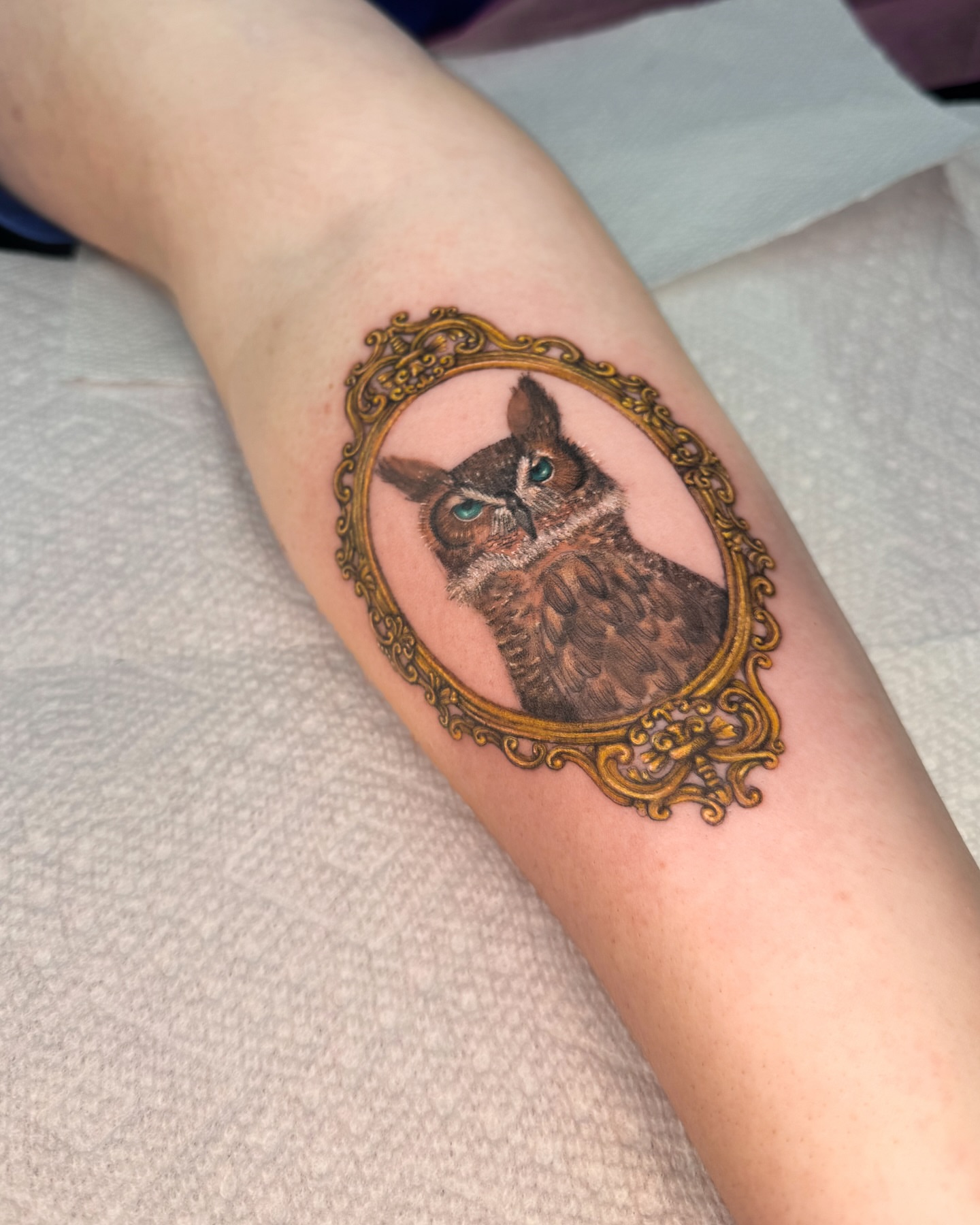 Owl realism tattoo on the forearm by Natasha Rachel Fineline Tattoos Nashville