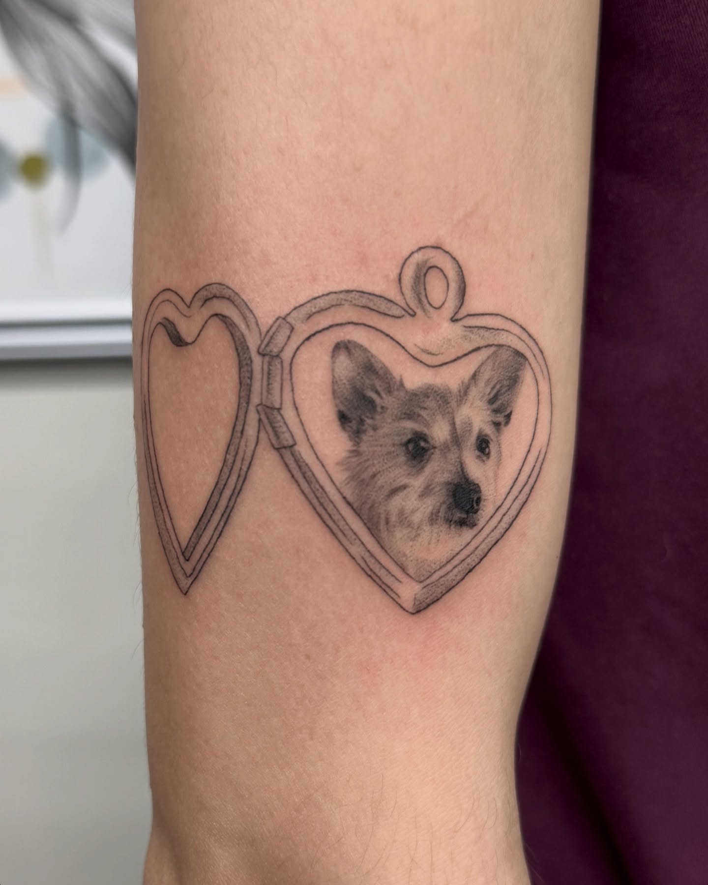 Dog in heart realism tattoo on the forearm by liliana lopez