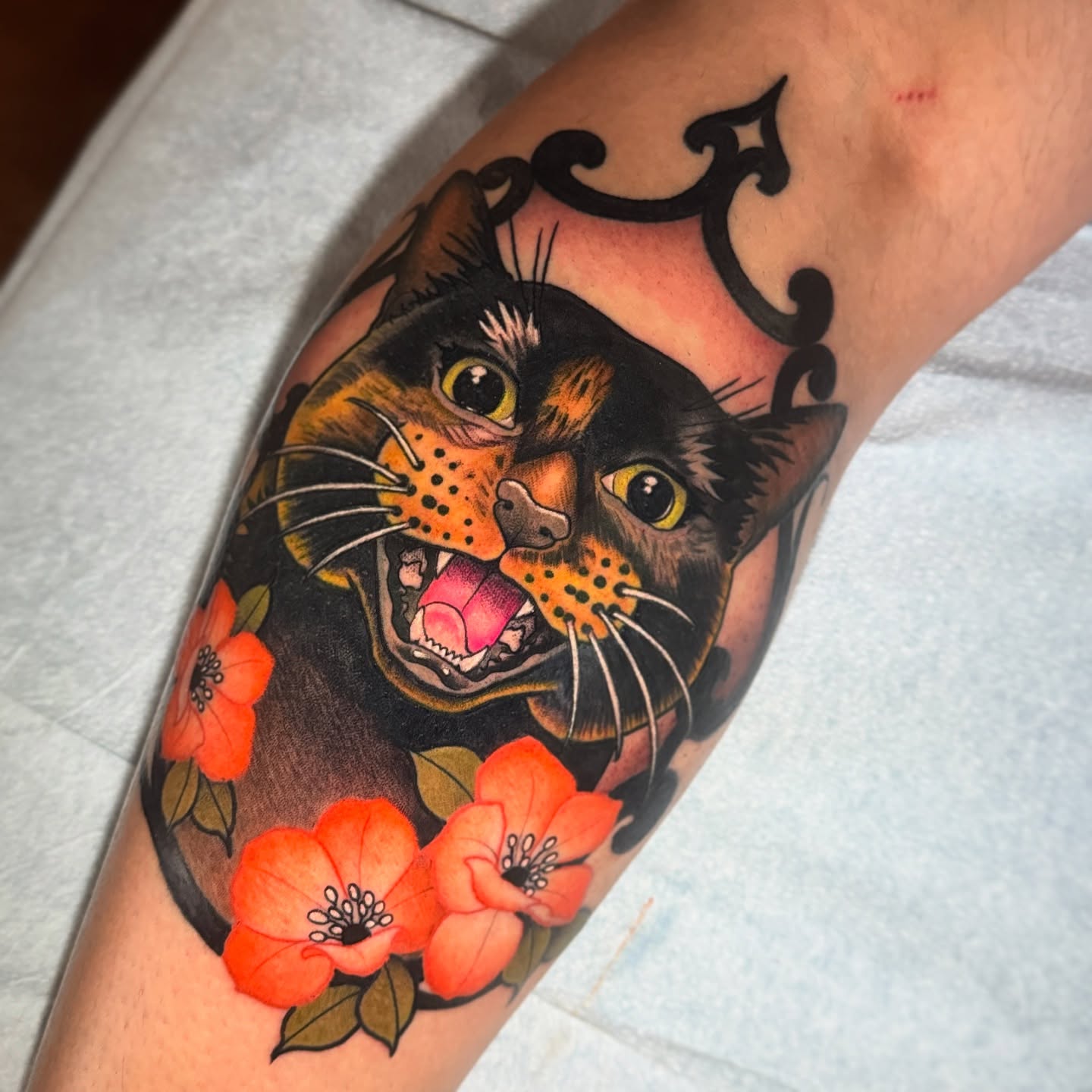Cat and flowers American traditional tattoo on the forearm by Julio Ferrer