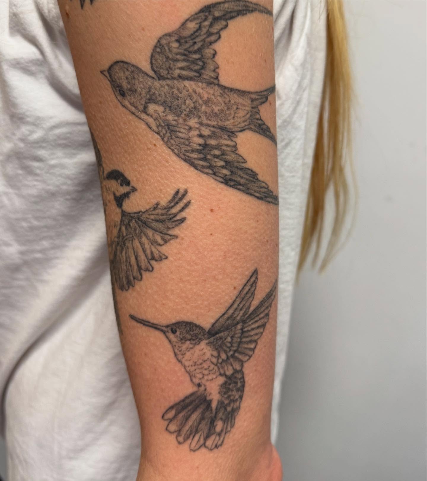 Birds black and grey tattoo on the forearm by Christen Wolfe CA Tattooer