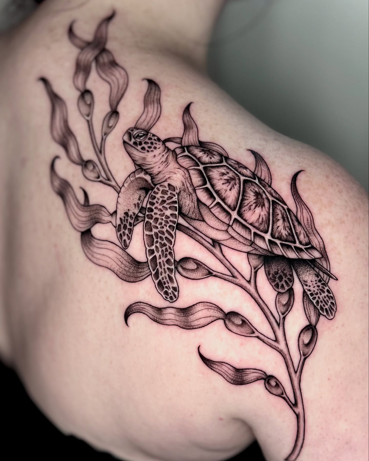 Sea turtle black and grey tattoo on the shoulder by Kathryn Semus