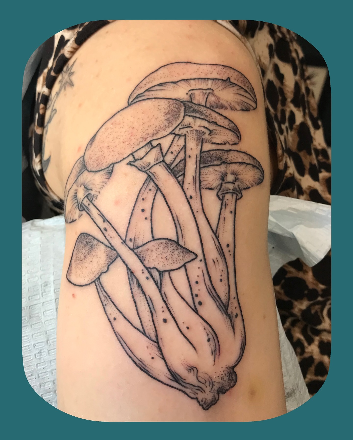 Mushroom cluster dotwork tattoo on the shoulder by Chris Chapman