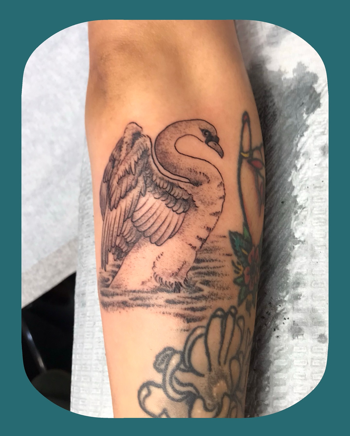 Swan black and grey tattoo on the forearm by Chris Chapman