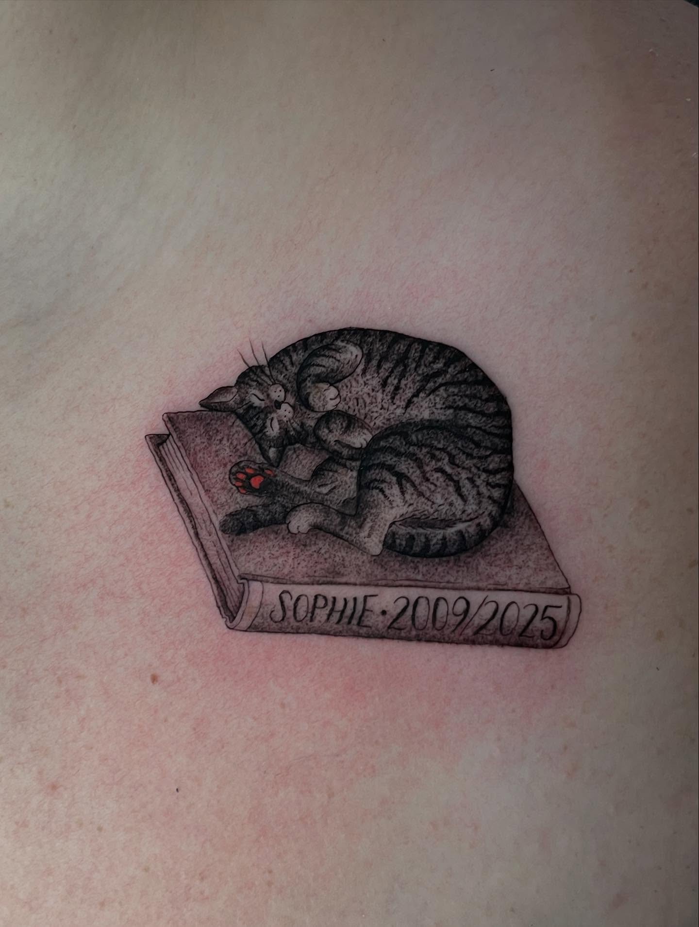 Cat reading book realism tattoo on the chest by Caleb Baker