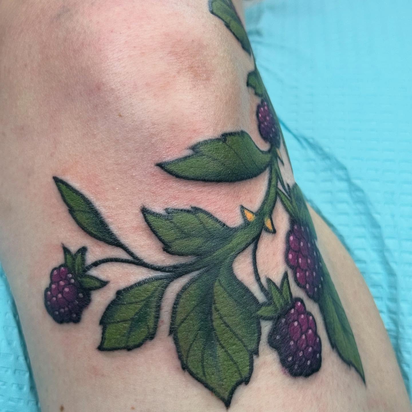 Raspberry plant realism tattoo on the upper arm by β¦ πΉπππ π°ππ π·ππππππππ β¦, Nashville, Tennessee