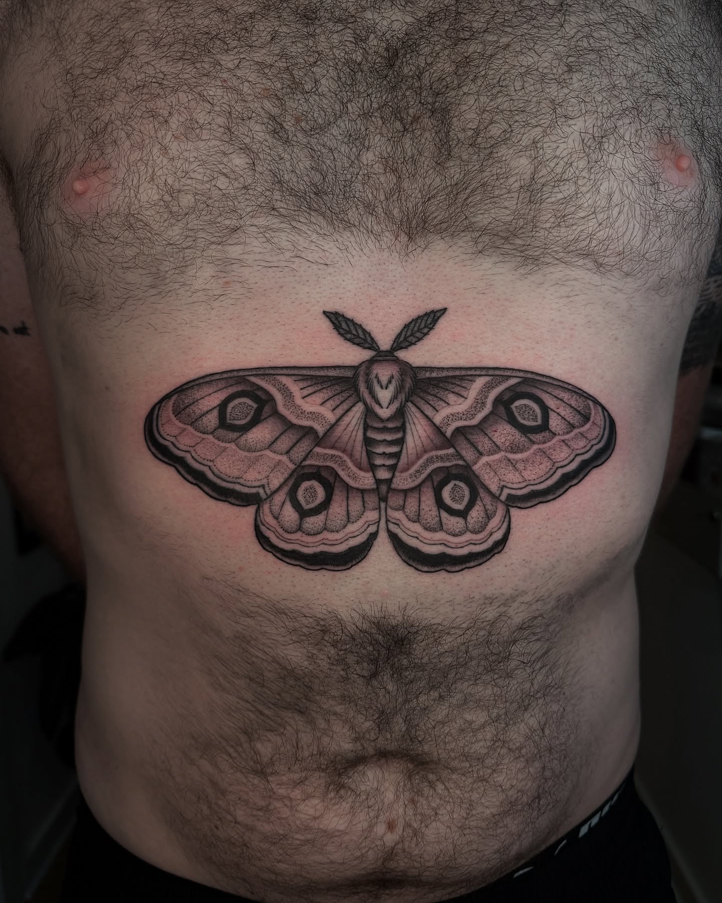 Moth realism tattoo on the chest by Kyle Stacher - Blackwork Tattoos - Denver