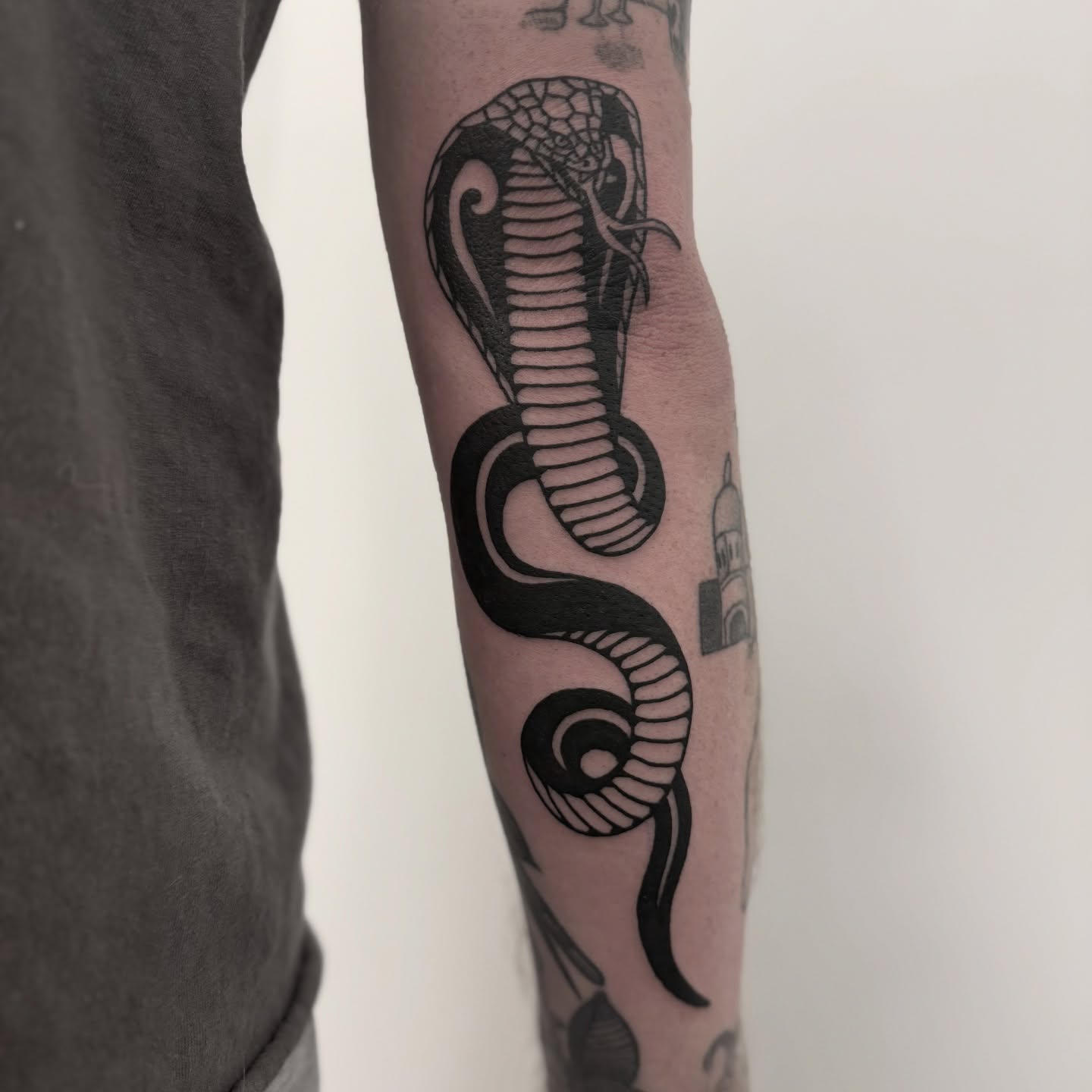 Cobra black and grey tattoo on the forearm by Han shinko, Portland, Oregon