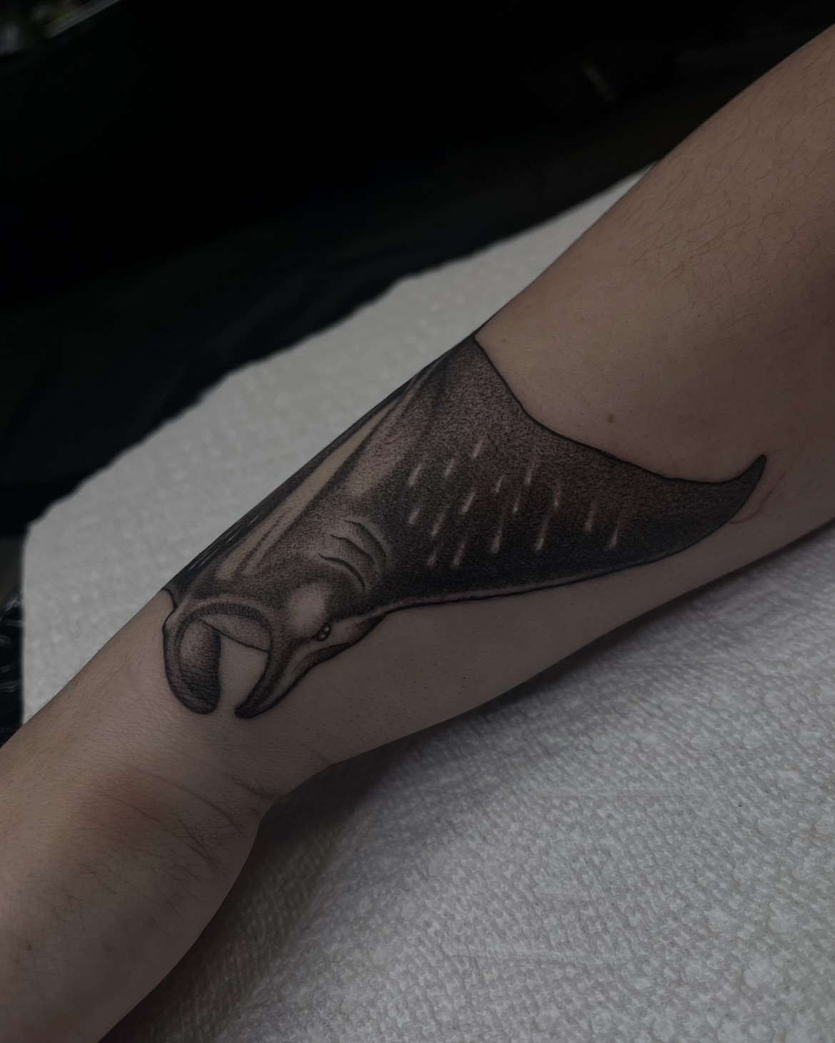 Manta ray black and grey tattoo on the forearm by ๐๐๐๐๐๐๐