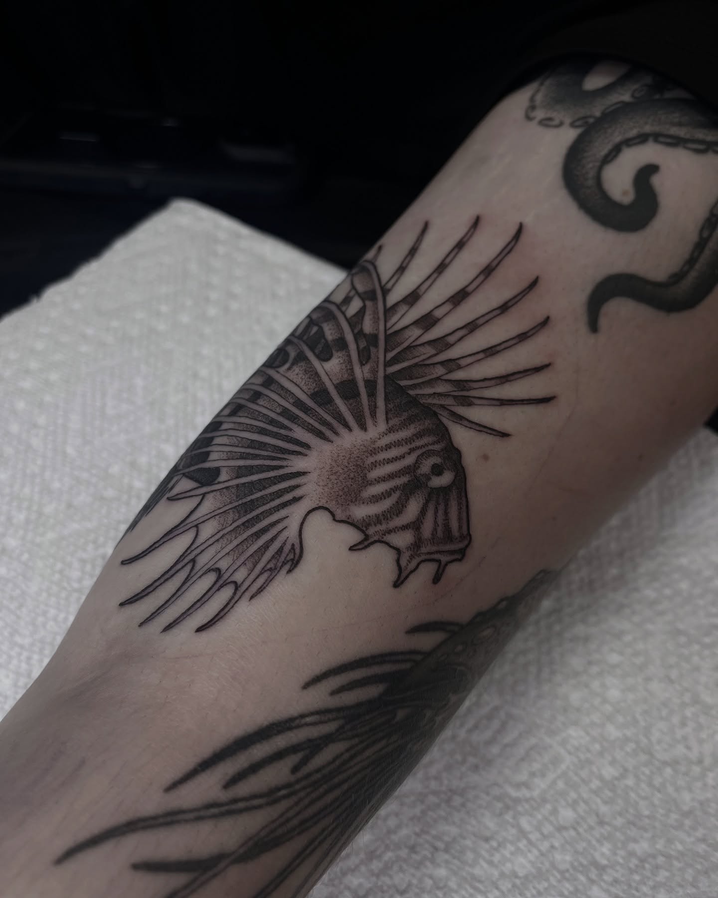 Lionfish black and grey tattoo on the forearm by ๐๐๐๐๐๐๐