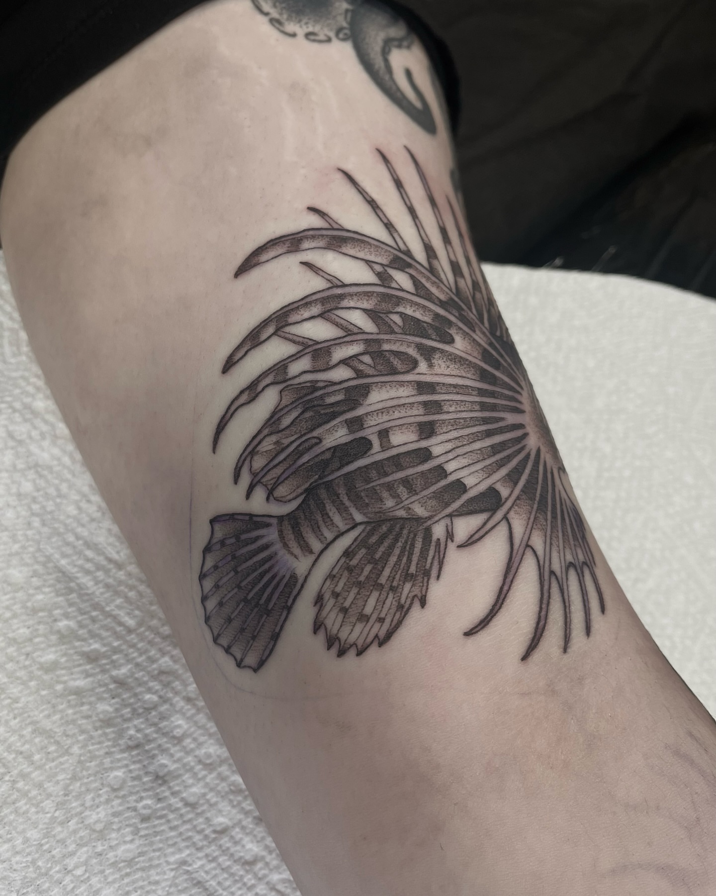 Lionfish dotwork tattoo on the forearm by ๐๐๐๐๐๐๐