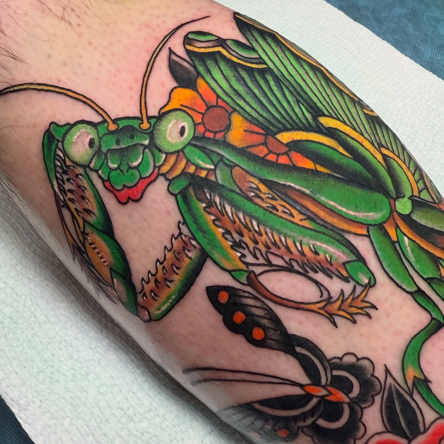 Praying mantis American traditional tattoo on the forearm by Jhon