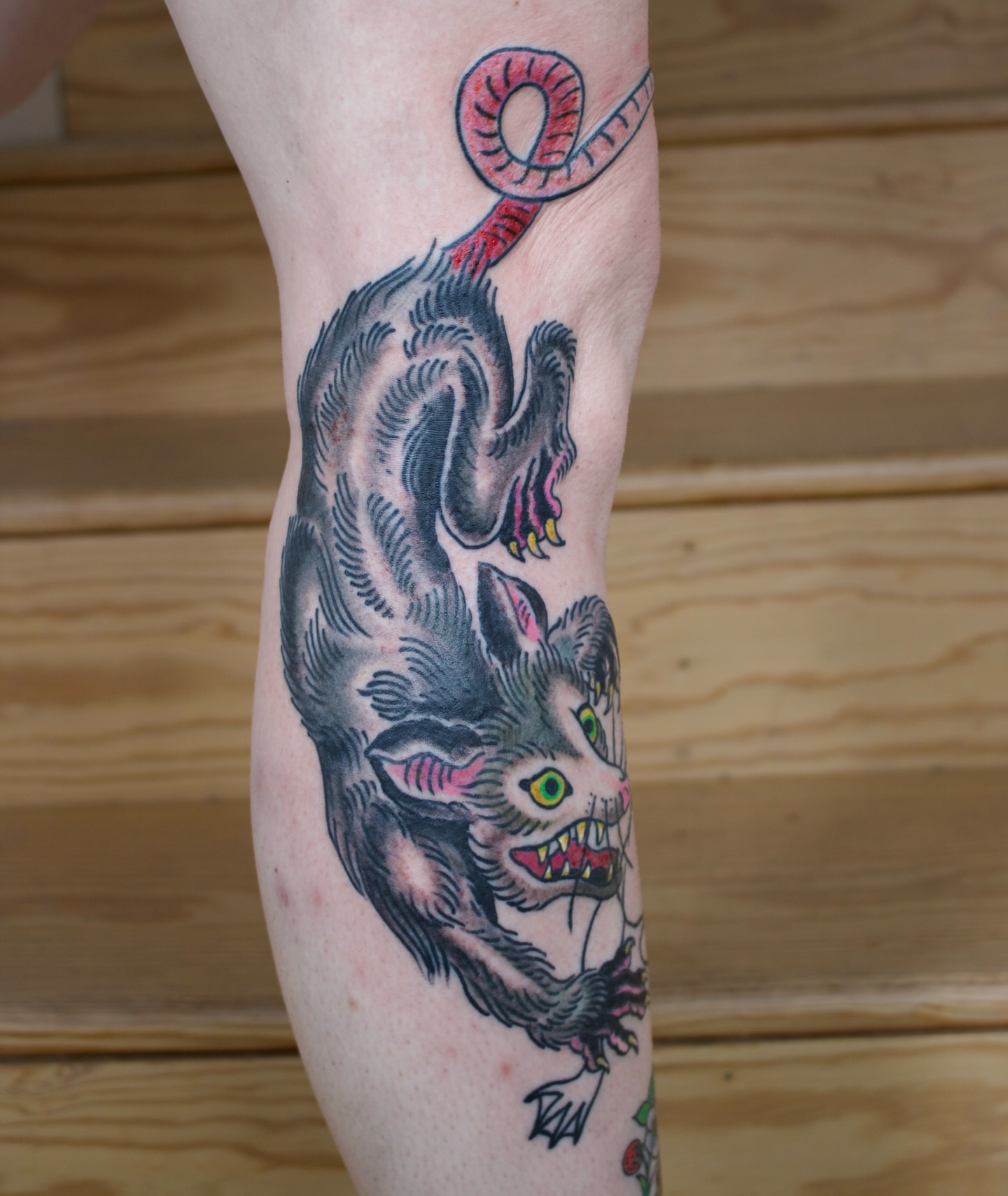 Tattoo by @tattoosbyhayden — american_traditional