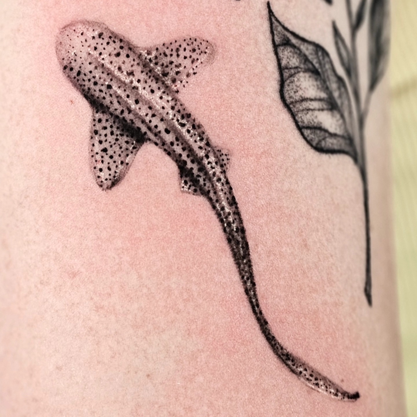 Tattoo by @madelynne_art_ — dotwork