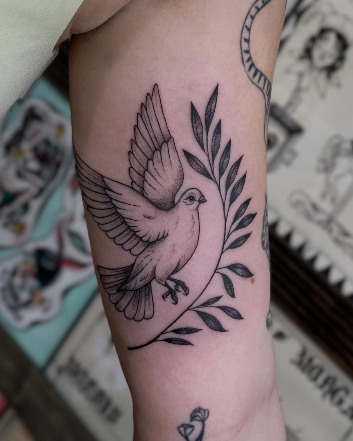 Dove black and grey tattoo on the forearm by 𝕯𝖆𝖓𝖎