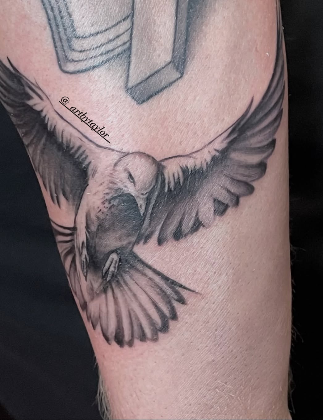 Bird realism tattoo on the forearm by Taylor✍🏽️