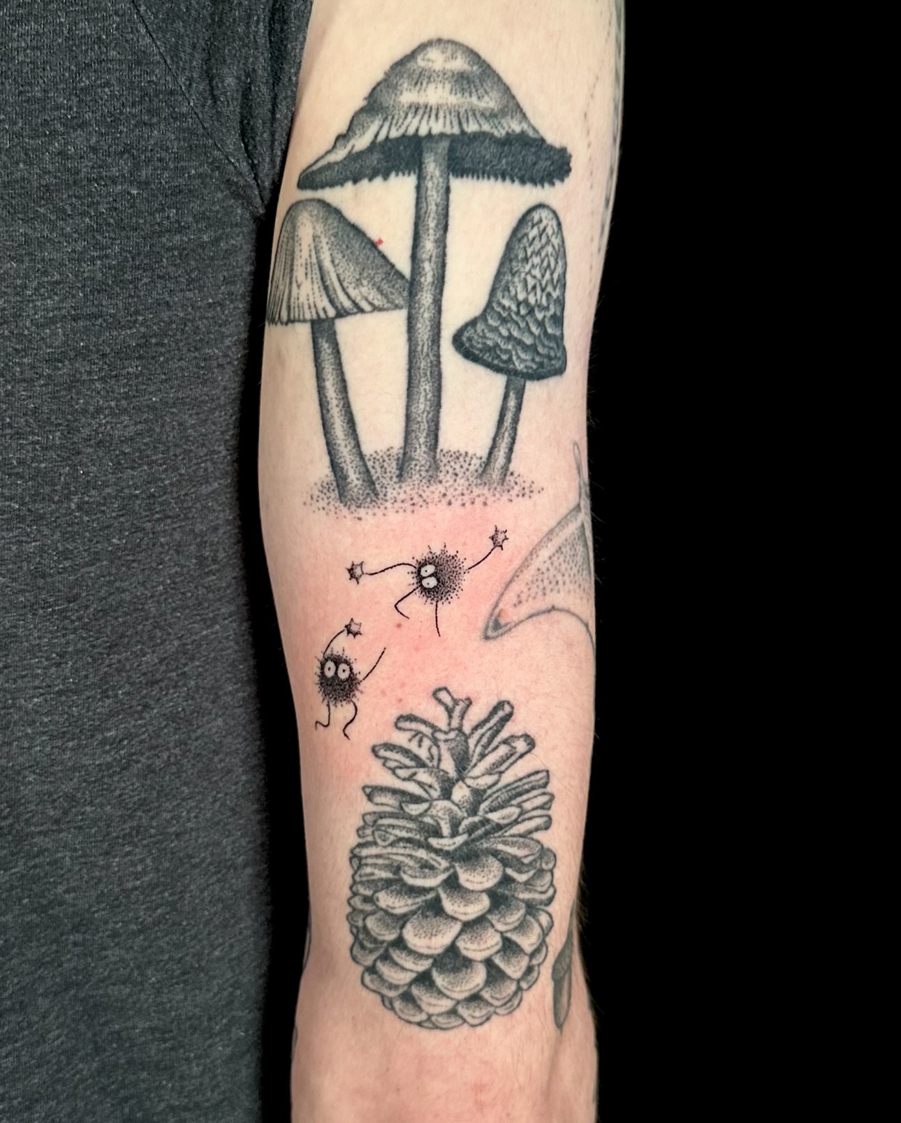 Mushrooms and pinecone dotwork tattoo on the forearm by Chelsey