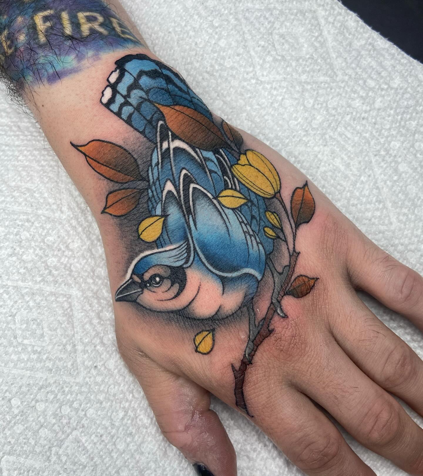 Blue jay American traditional tattoo on the hand by ππππππ