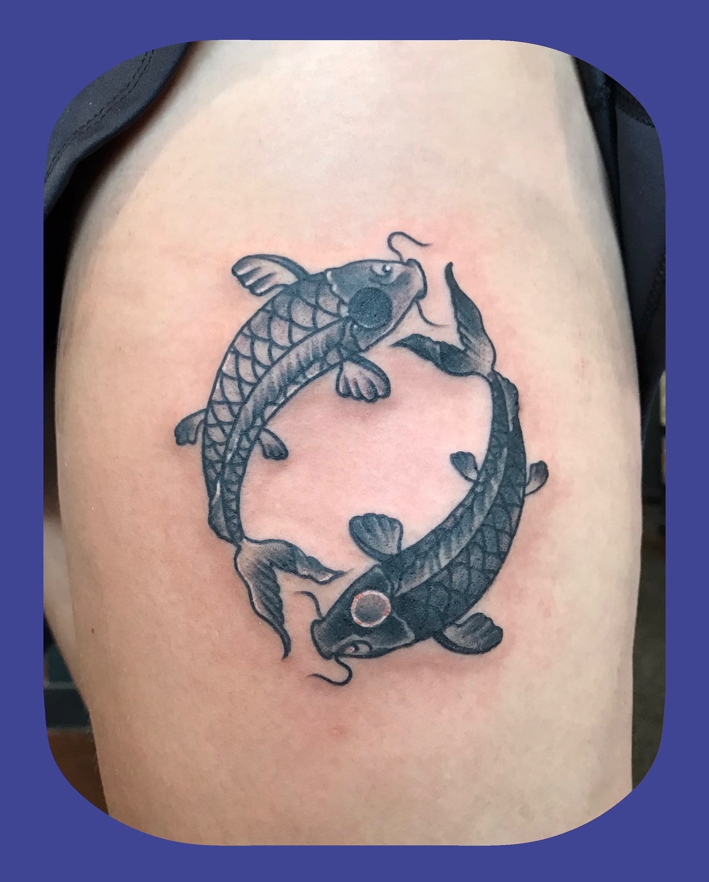 Koi fish black and grey tattoo on the shoulder by Chris Chapman