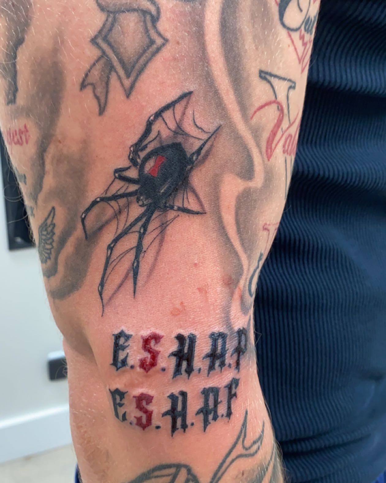 Spider black and grey tattoo on the forearm by Tattsruru