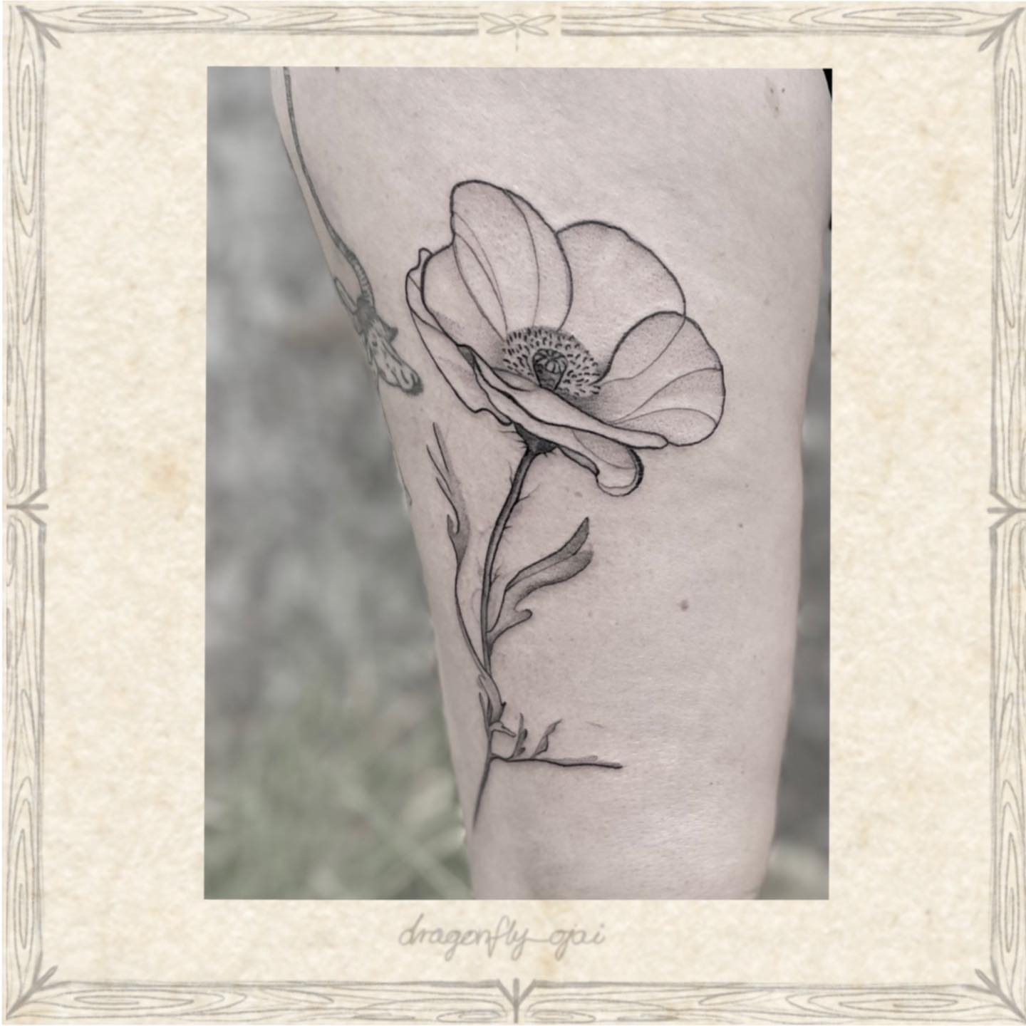 Tattoo by @dragonfly_ajja — black_and_grey