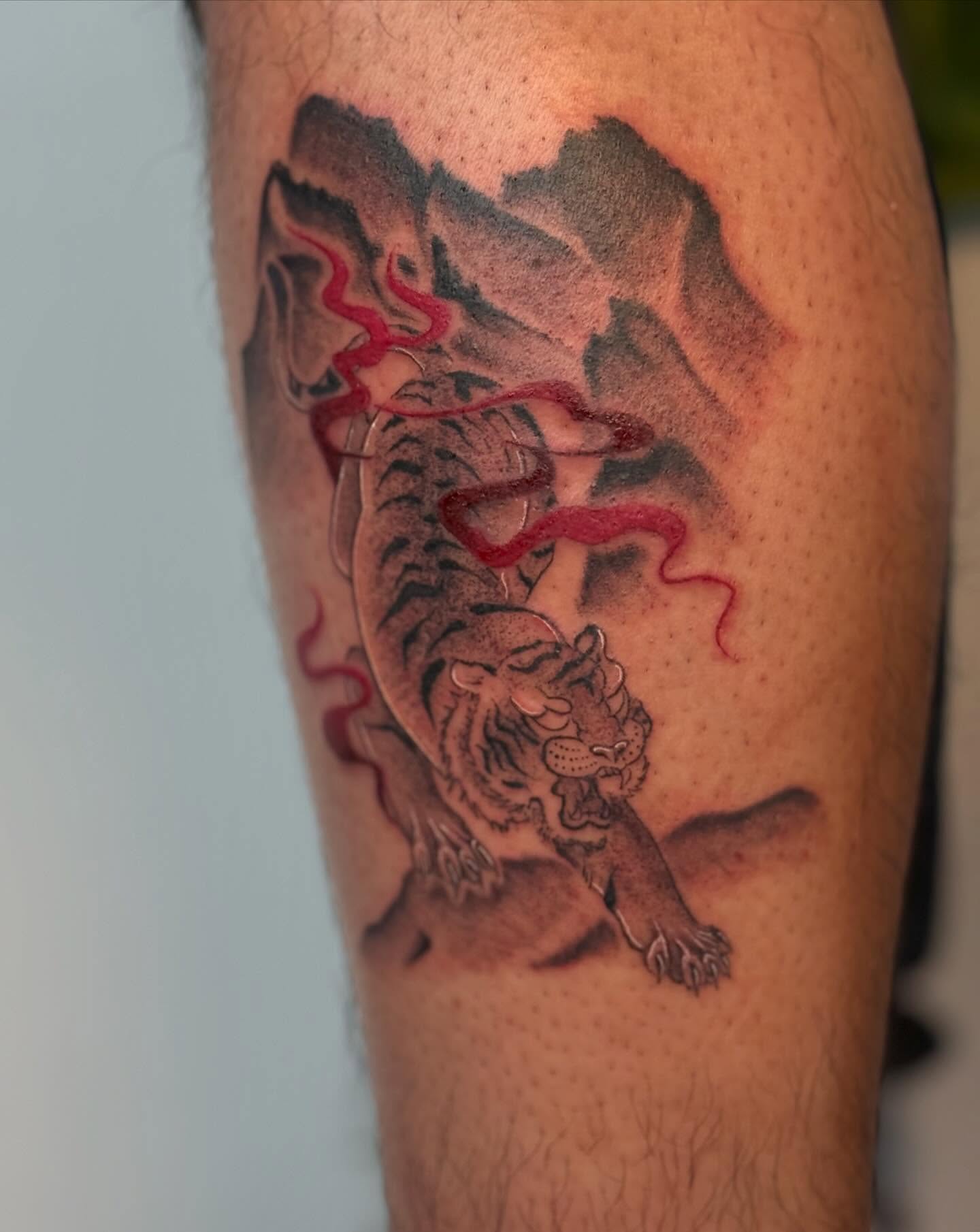 Tiger black and grey tattoo on the forearm by thuy (twee) <3, San Jose, California