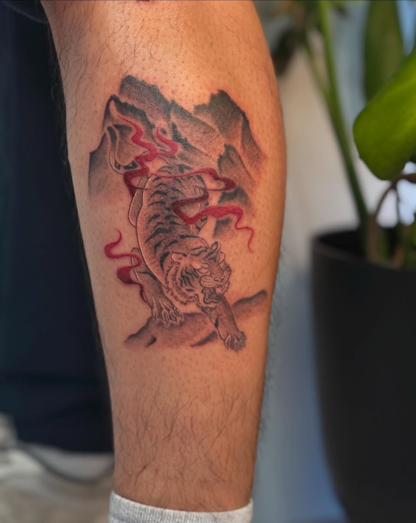 Tiger japanese irezumi tattoo on the forearm by thuy (twee) <3, San Jose, California