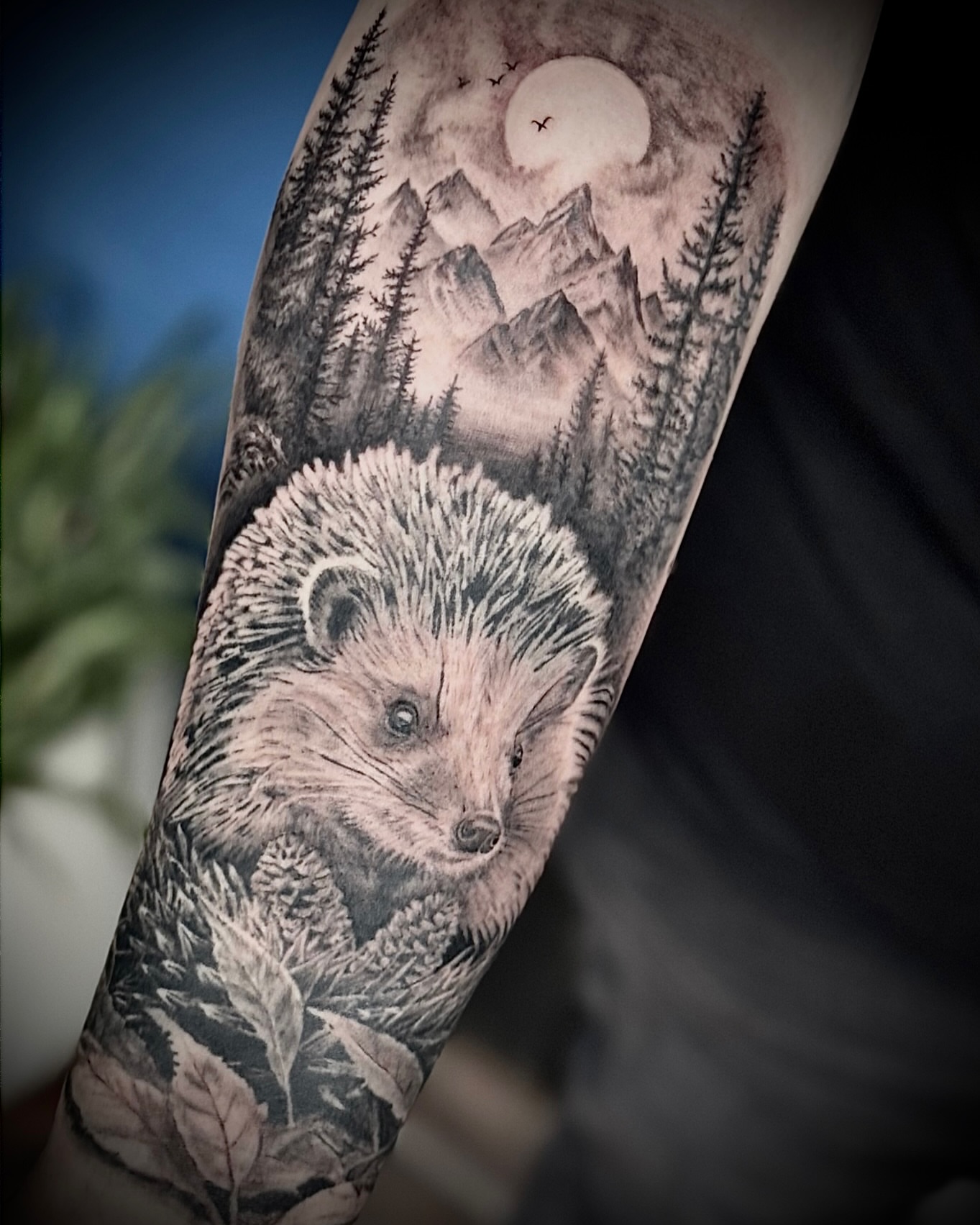 Hedgehog in forest realism tattoo on the forearm by Tattoos by Marcy