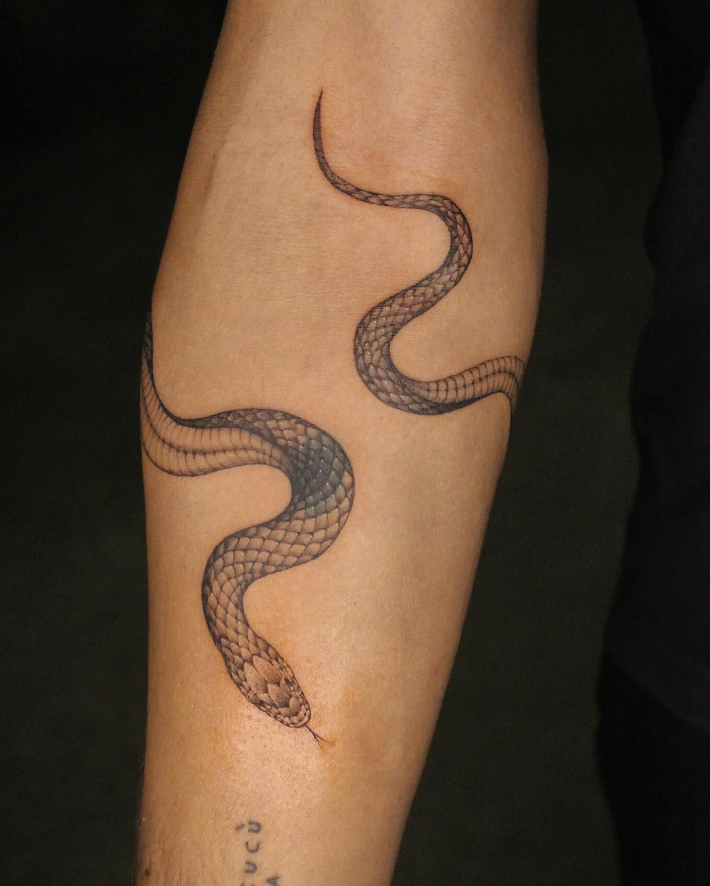 Snake realism tattoo on the forearm by Tattoo artist EJ (Mireu)