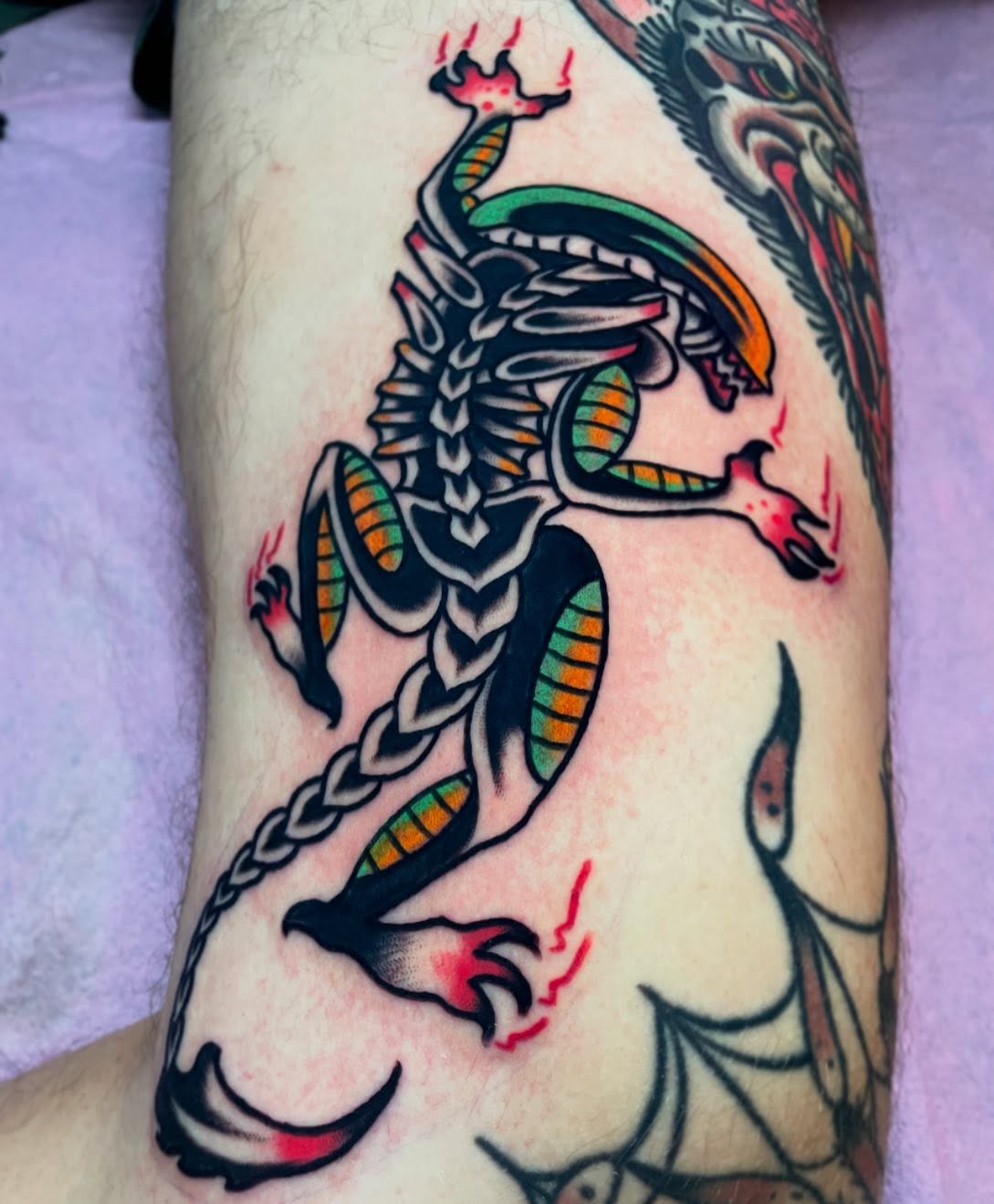 Scorpion American traditional tattoo on the forearm by Jacob, Marion, Illinois