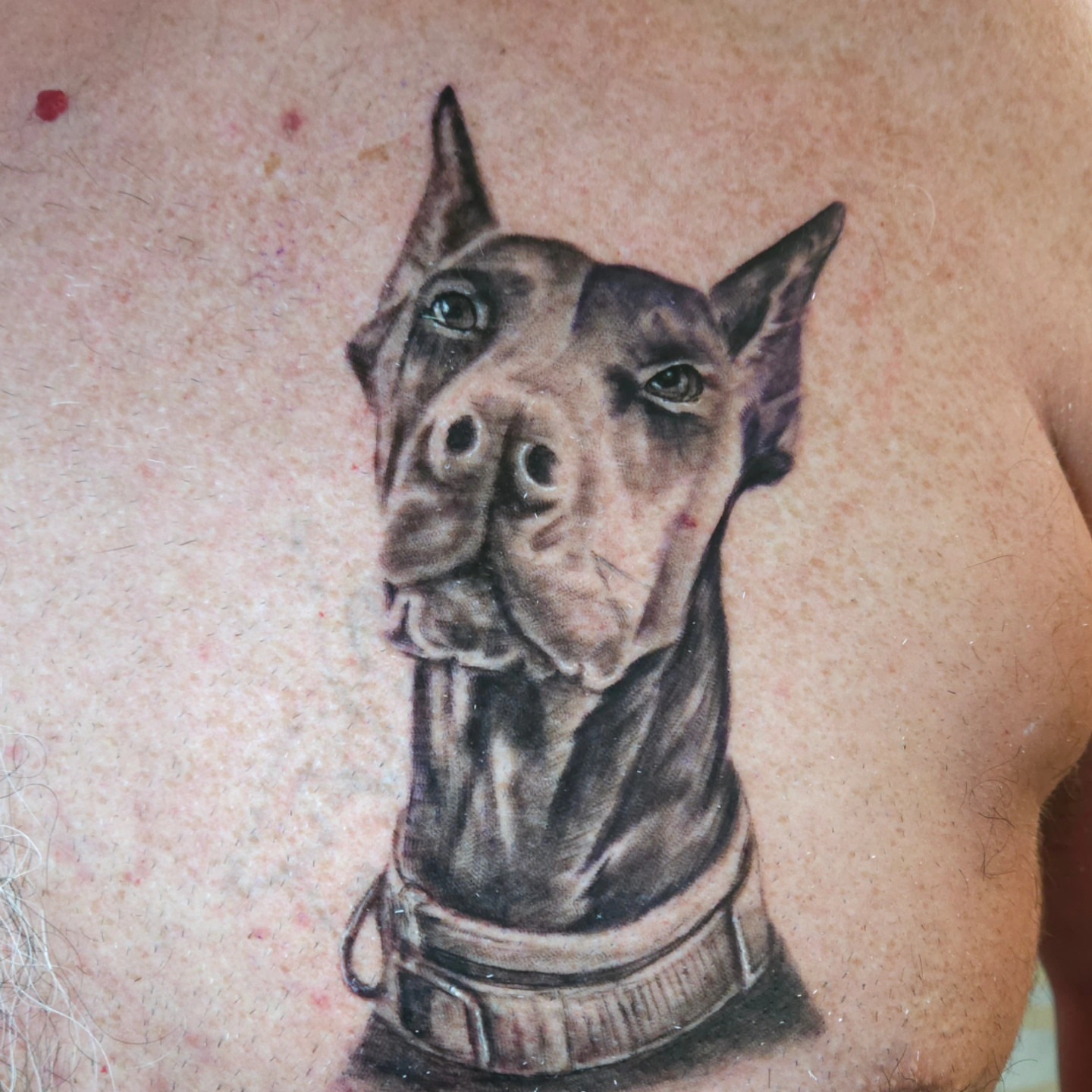 Tattoo by @mitchprestontattoos — realism