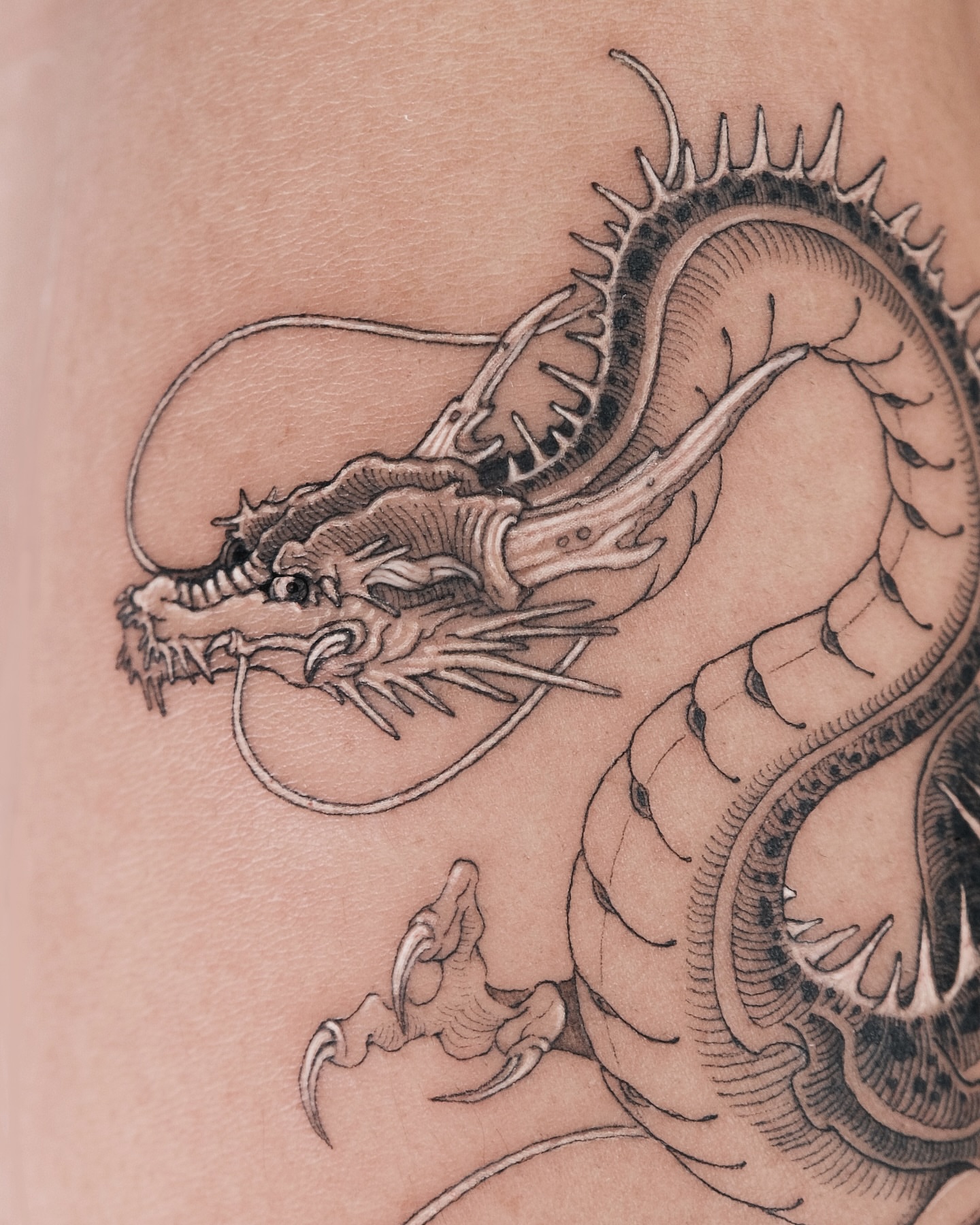 Dragon black and grey tattoo on the upper arm by p o b i