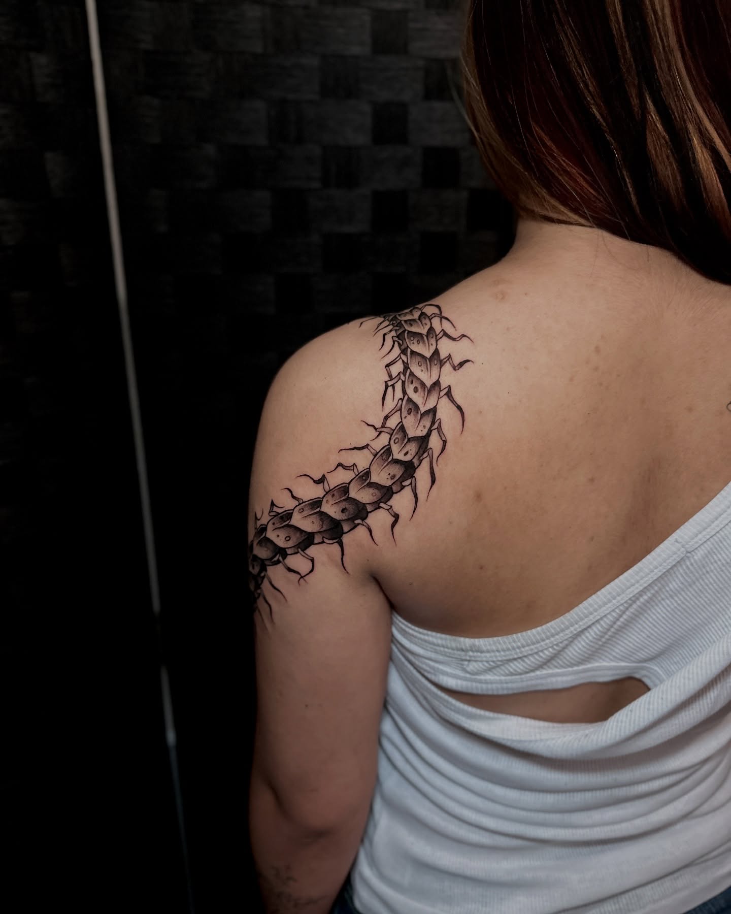 Centipede black and grey tattoo on the shoulder by Macayla Myers