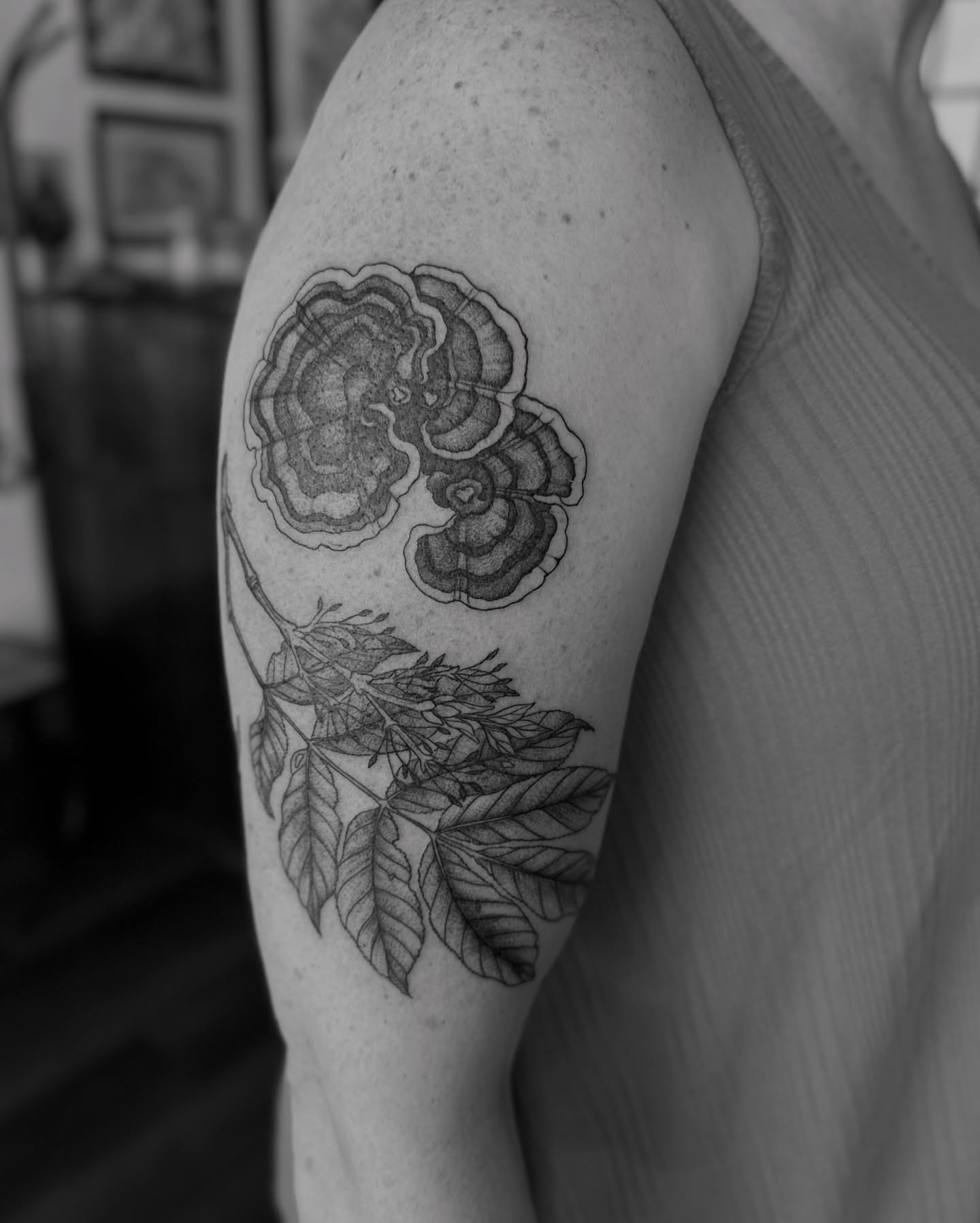 Fungi and leaves realism tattoo on the shoulder by Alex Brooke