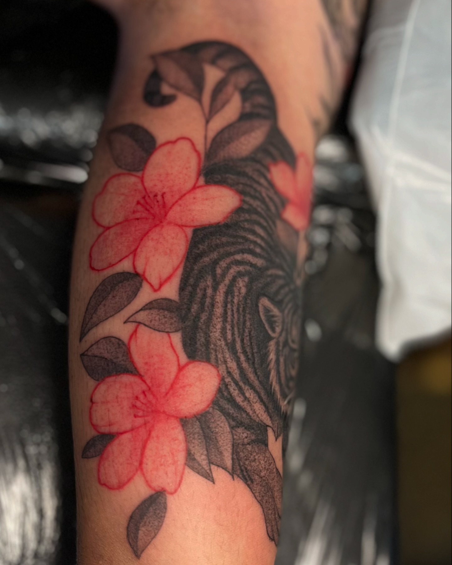 Cherry blossoms japanese irezumi tattoo on the forearm by π©π΄π πππΎπβ― π―πΆππβ΄β΄ ππππΎππ