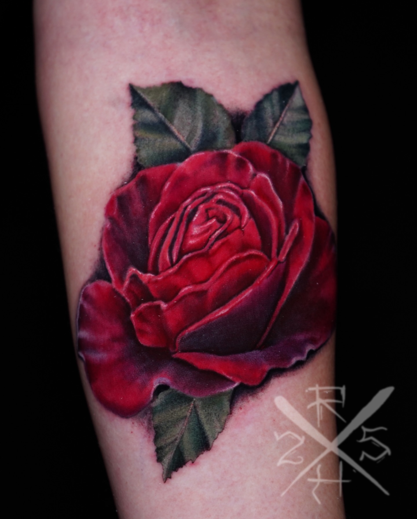 Red rose realism tattoo on the forearm by Ryan