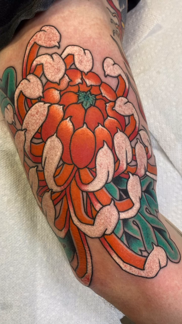 Chrysanthemum flower japanese irezumi tattoo by B e A U B R A D y, Costa Mesa, California