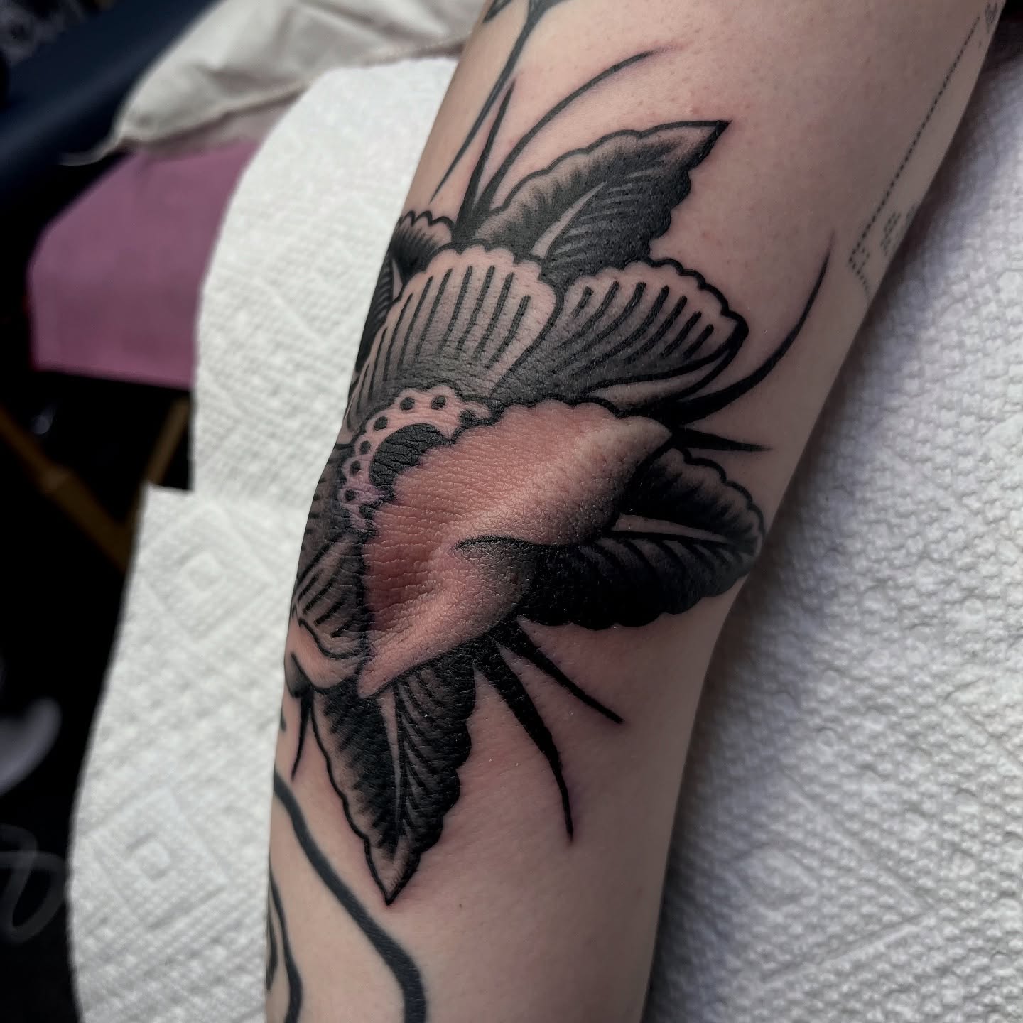 Tattoo by @bodymemory_ — american_traditional