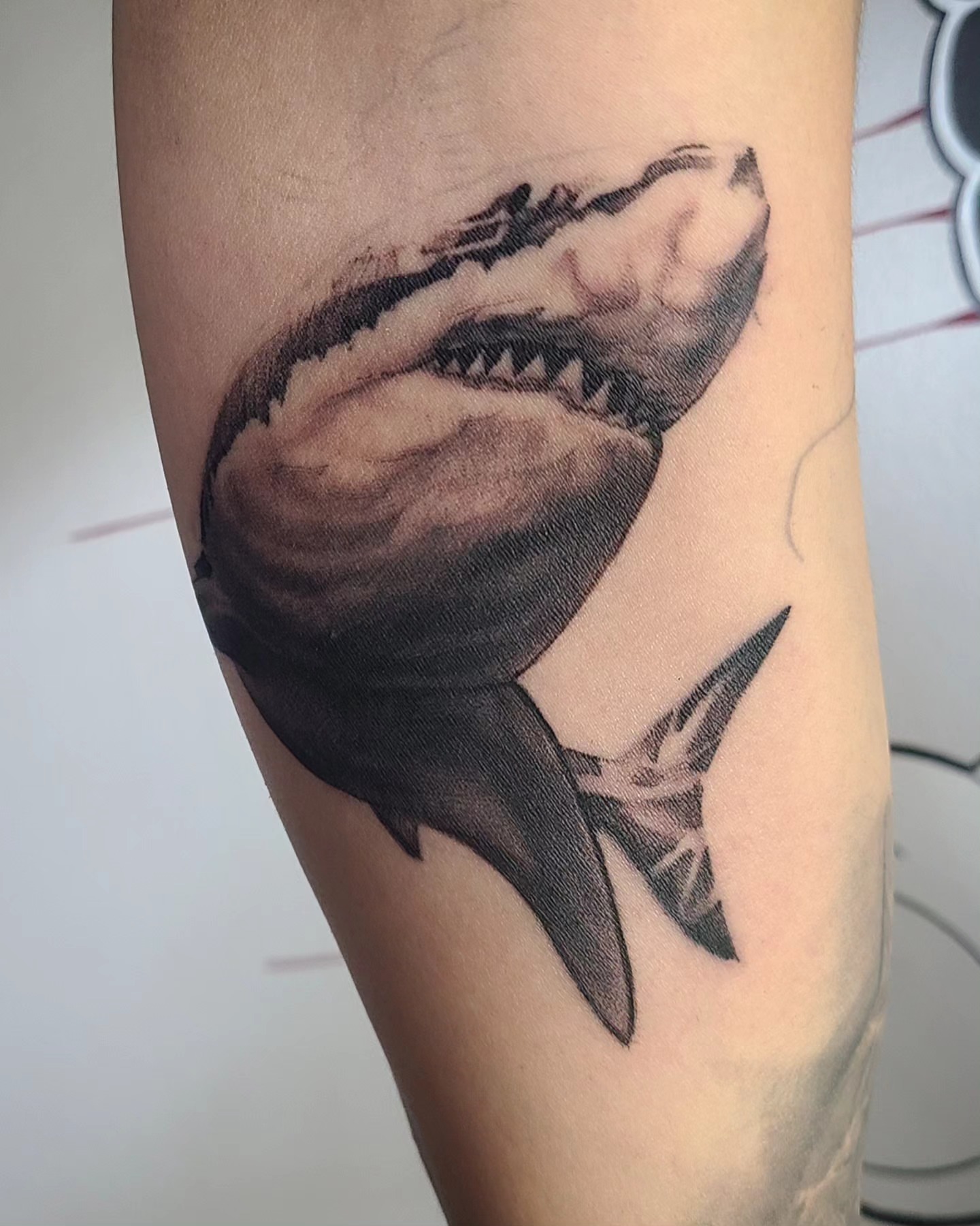 Shark realism tattoo on the forearm by David Vodicka